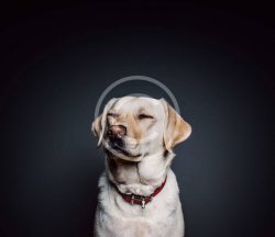 Home Improvements that Pay Back