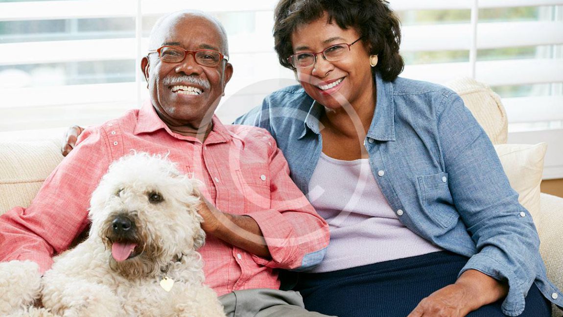 How to Travel Safely With Your Pet