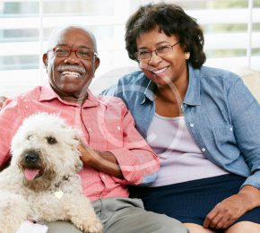 How to Travel Safely With Your Pet