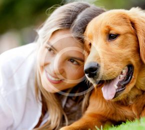 Are Two Pets Better Than One?