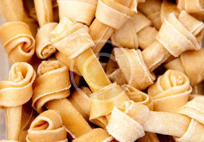 Top 10 Holiday Pet Hazards