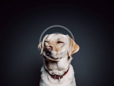 Home Improvements that Pay Back