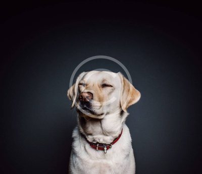 Home Improvements that Pay Back