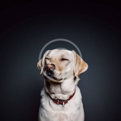 Home Improvements that Pay Back