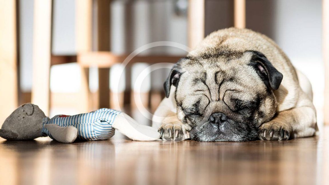 They Get Depressed, Too