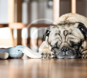 They Get Depressed, Too