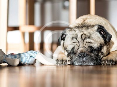 They Get Depressed, Too