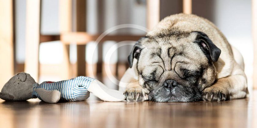 They Get Depressed, Too